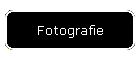 Fotografie